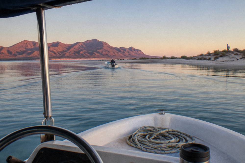 A small boat crossing flat morning water toward the whale shark zone in La Paz bay
