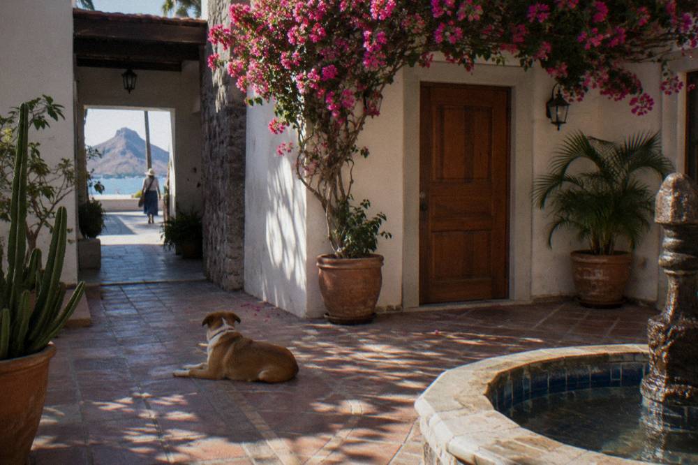 Side street in central La Paz with a small hotel entrance and morning shade